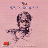 Přední strana obalu CD Flute