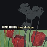 Pernice Brothers – Discover A Lovelier You