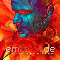 Emile Bode – Healing Frequencies Through Music