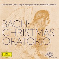 Monteverdi Choir, English Baroque Soloists, John Eliot Gardiner – J.S. Bach: Christmas Oratorio, BWV 248, Pt. 2: No. 10, Sinfonia