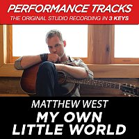 Matthew West – My Own Little World