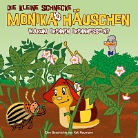 Die kleine Schnecke Monika Hauschen – 14: Warum brennen Brennnesseln?