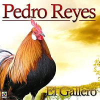 Pedro Reyes – El Gallero