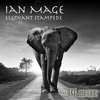 Přední strana obalu CD Elephant Stampede