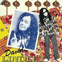 David Lindley – Mr. Dave