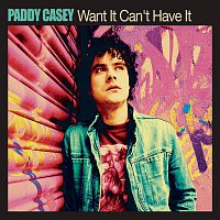 Paddy Casey – Want It Can't Have It