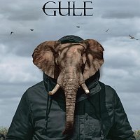 Apple Gule – Care