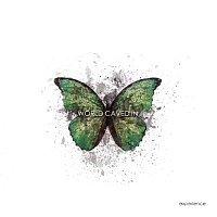 Přední strana obalu CD World Caved In