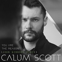 Calum Scott, John Gibbons – You Are The Reason [John Gibbons Remix]