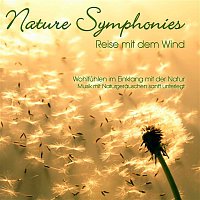 Dave Miller – Nature Symphonies: Reise mit dem Wind