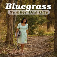 Přední strana obalu CD Bluegrass Number One Hits