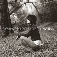 Přední strana obalu CD Dreaming Through The Noise
