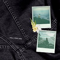 Steve James – fall for you