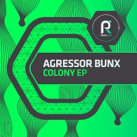 Přední strana obalu CD Colony