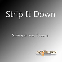 Strip It Down (Saxophone Cover)