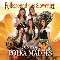 Přední strana obalu CD Polkasound aus Slowenien