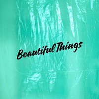 Přední strana obalu CD Beautiful Things