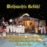 Auner Alpenspektakel, Engelbert Aschaber Harfe, Tiroler Weisenblaser – Weihnachts Gfuhl