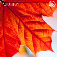 emeraldwave – Autumn