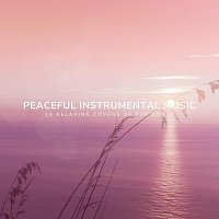 Různí interpreti – Peaceful Instrumental Music: 14 Relaxing Covers of Pop Songs