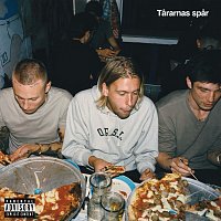 Hov1 – Tararnas spar