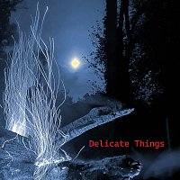 Přední strana obalu CD Delicate Things