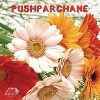 K.S. Chithra – Pushparchane Vol. 3