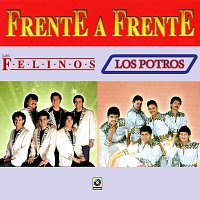 Los Felinos, Los Potros – Frente A Frente