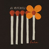 AJ Mitchell – Burn