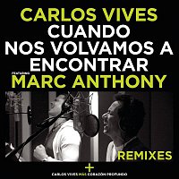 Carlos Vives, Marc Anthony – Cuando Nos Volvamos a Encontrar - Remixes