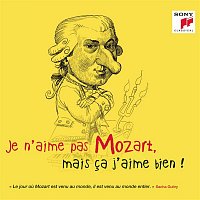 Various  Artists – Je n'aime pas Mozart, mais ca j'aime bien !