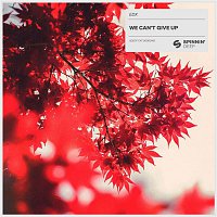 EDX – We Can't Give Up