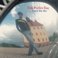 This Perfect Day – Can't You See