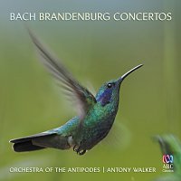 Orchestra of the Antipodes, Antony Walker – Bach: Brandenburg Concertos