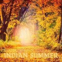 Přední strana obalu CD Indian Summer