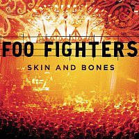 Foo Fighters – Skin And Bones