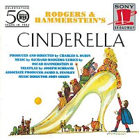 New Television Cast of Cinderella – Cinderella