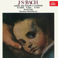 Přední strana obalu CD Bach: Sonáty pro housle a cembalo
