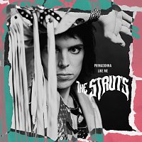 The Struts – Primadonna Like Me