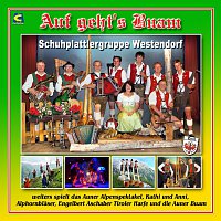 Schuhplattlergruppe Westendorf, weitere Musikanten – Auf geht's Buam