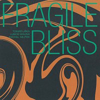 Přední strana obalu CD Fragile Bliss