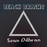 Sean Odhran – Beach Brains