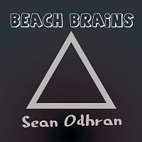 Přední strana obalu CD Beach Brains