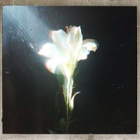 Přední strana obalu CD Light That Leads Me