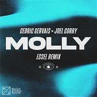Cedric Gervais & Joel Corry – MOLLY (ESSEL Remix) [Extended Mix]