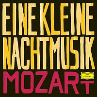 Mozart, W.A.: Eine kleine Nachtmusik