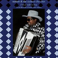 I'm A Zydeco Hog [Live]