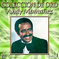 Andy Montanez – Colección de Oro: El Espectacular Andy Montanez, Vol. 1