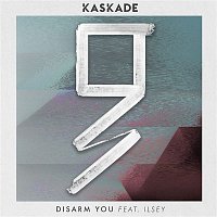 Přední strana obalu CD Disarm You (feat. Ilsey) [Grey Remix]