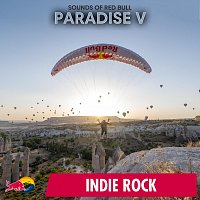 Přední strana obalu CD Paradise V